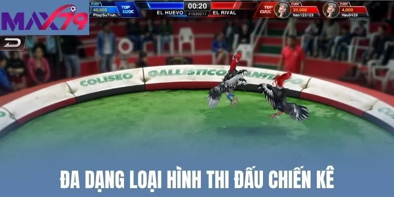 Đa dạng loại hình thi đấu chiến kê